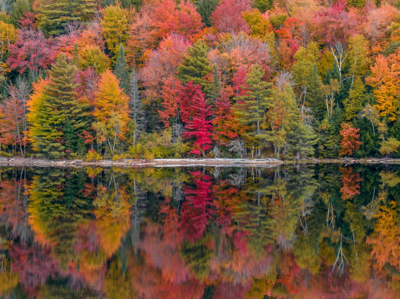 Red, orange and green fall trees along a still lake, mirrored perfectly in the water