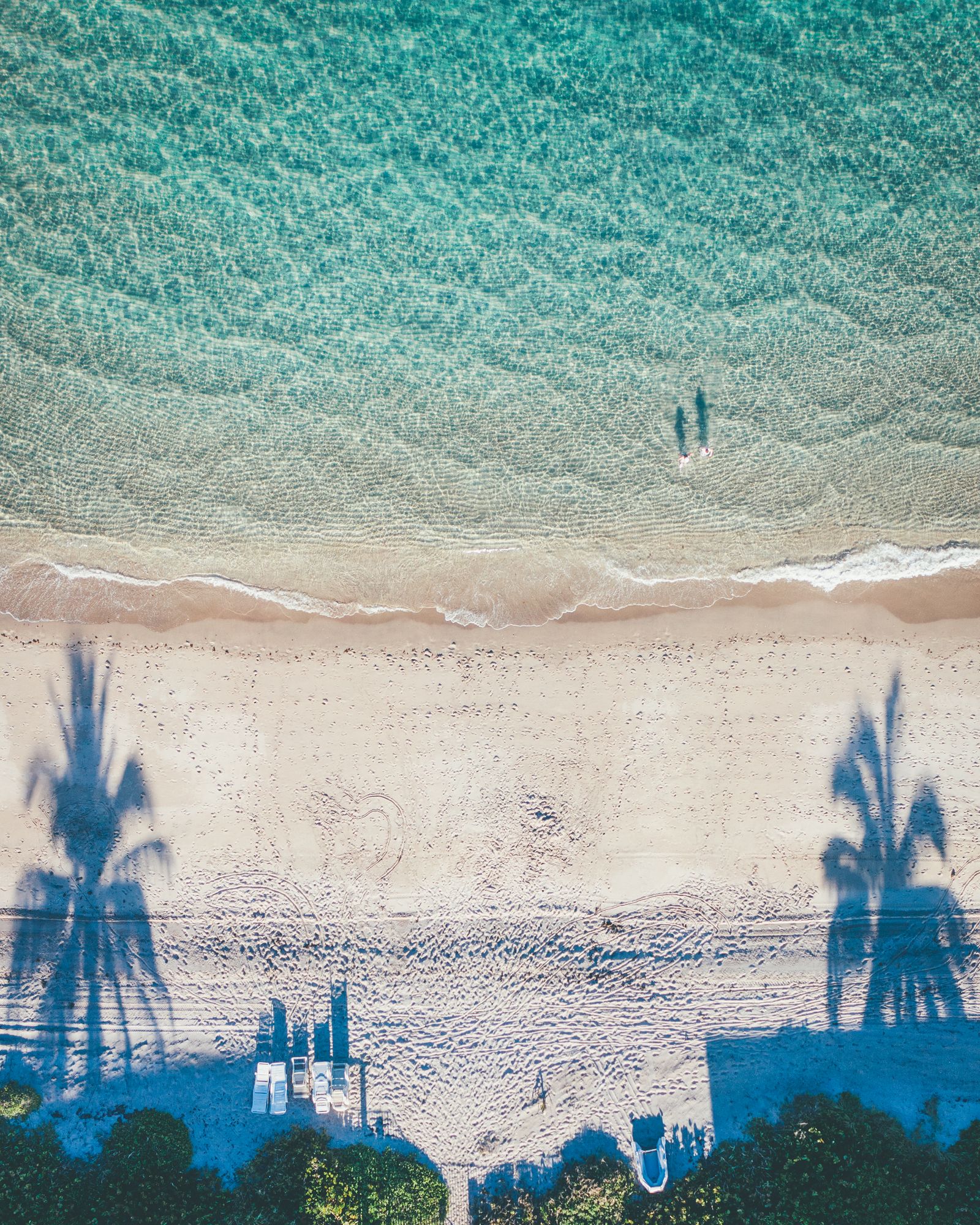 Palm shadows and two swimmers where white sand meets teal water, seen from straight above