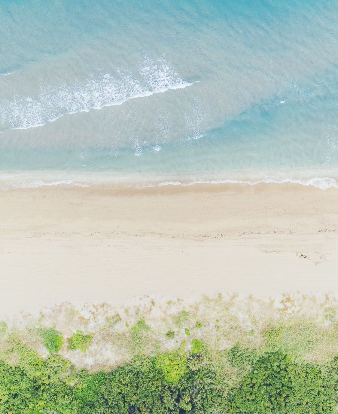 Soft surf rolling onto a pale beach lined with green dunes, from above