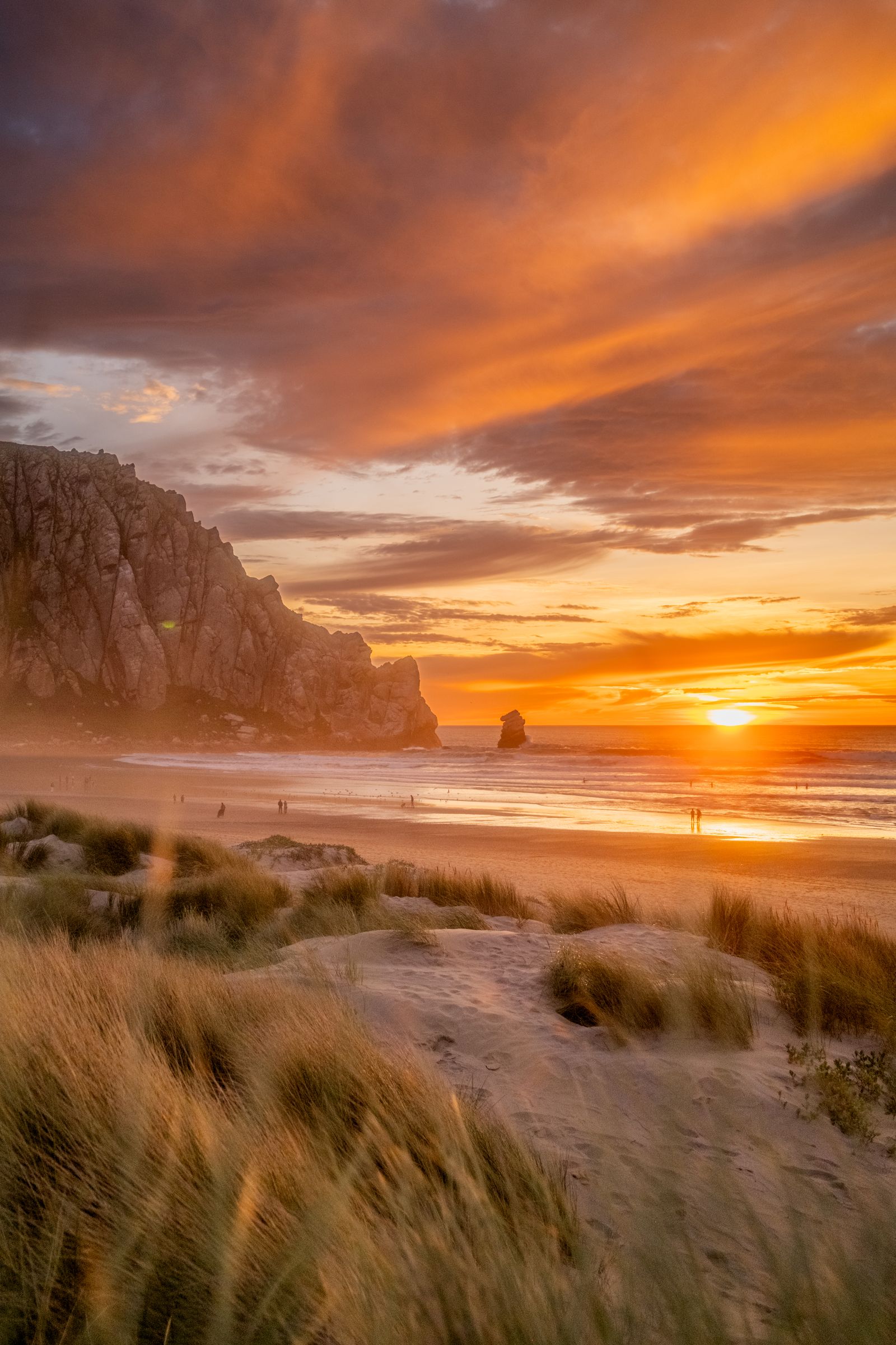 Orange sunset over a rocky headland and sea stacks, beach grass in the foreground