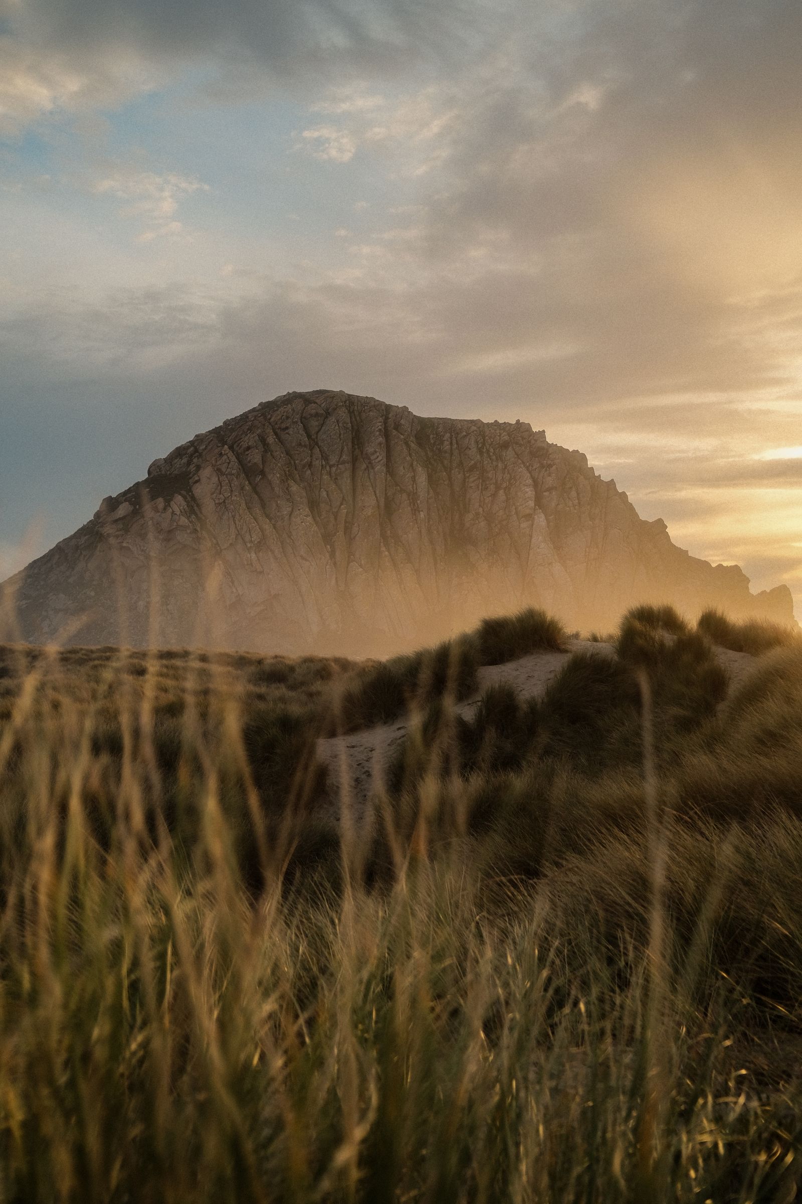 Morro Rock behind tall dune grass in soft evening light