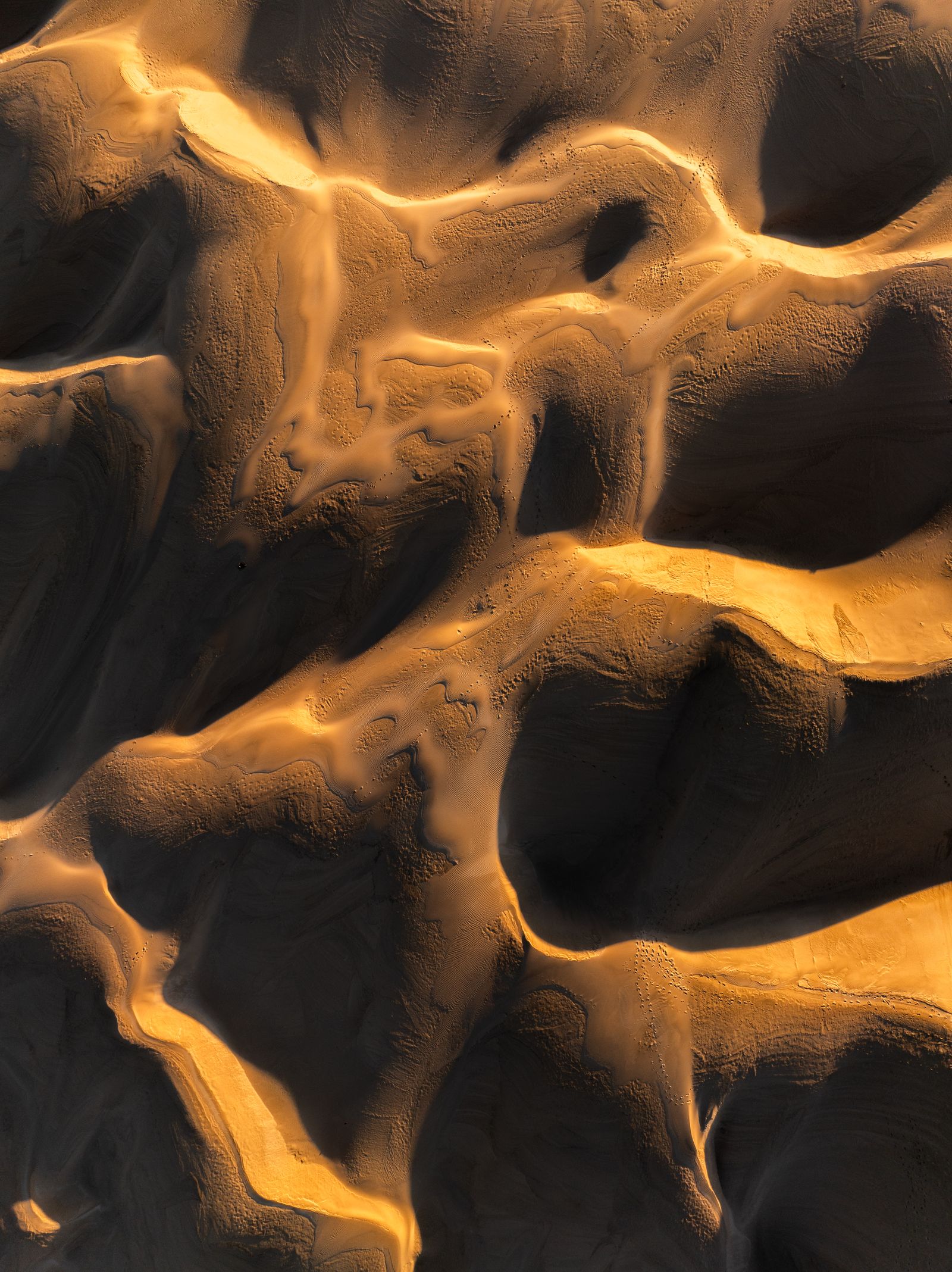 Low gold light catching the ridges of wind-sculpted sand dunes, seen from above