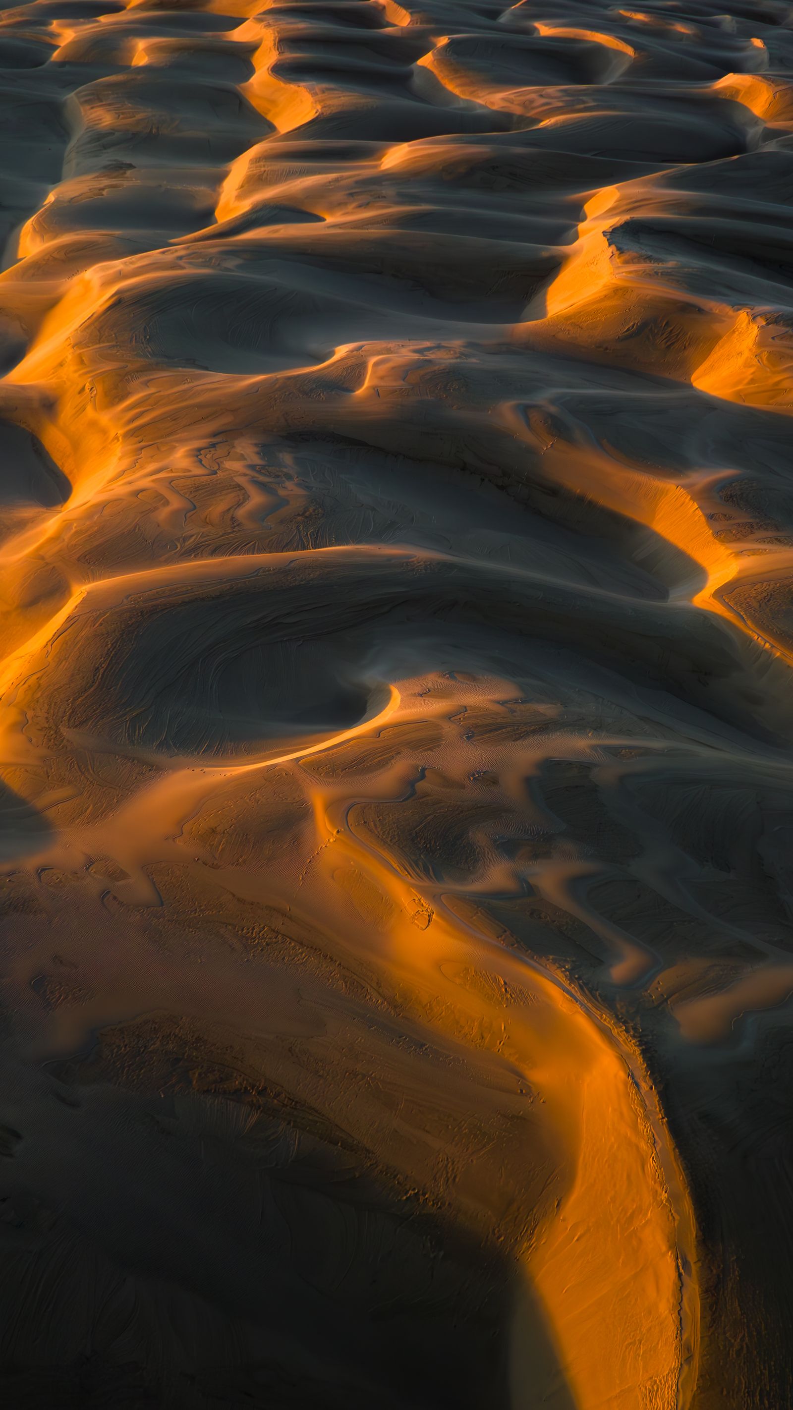 Low sun lighting the edges of rippled sand dunes in gold, with long dark shadows between them