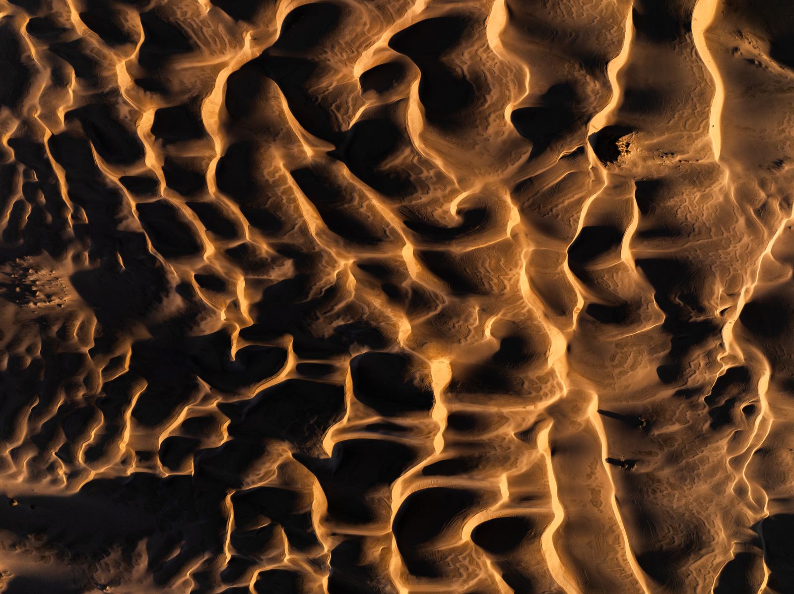 A maze of sharp-edged dune ripples lit gold against deep shadow, from straight above