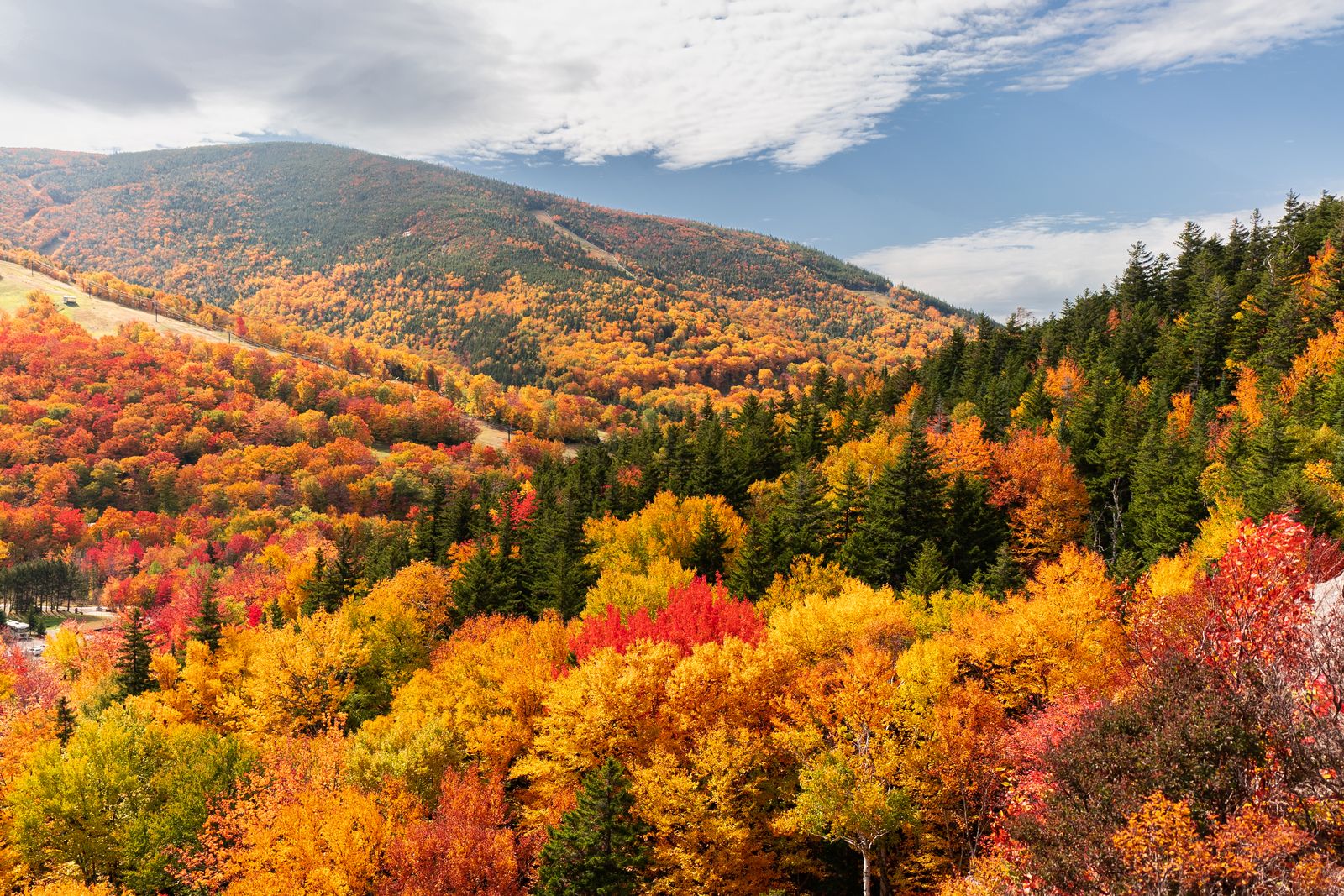 A wide valley of fall foliage below a rounded mountain and scattered clouds