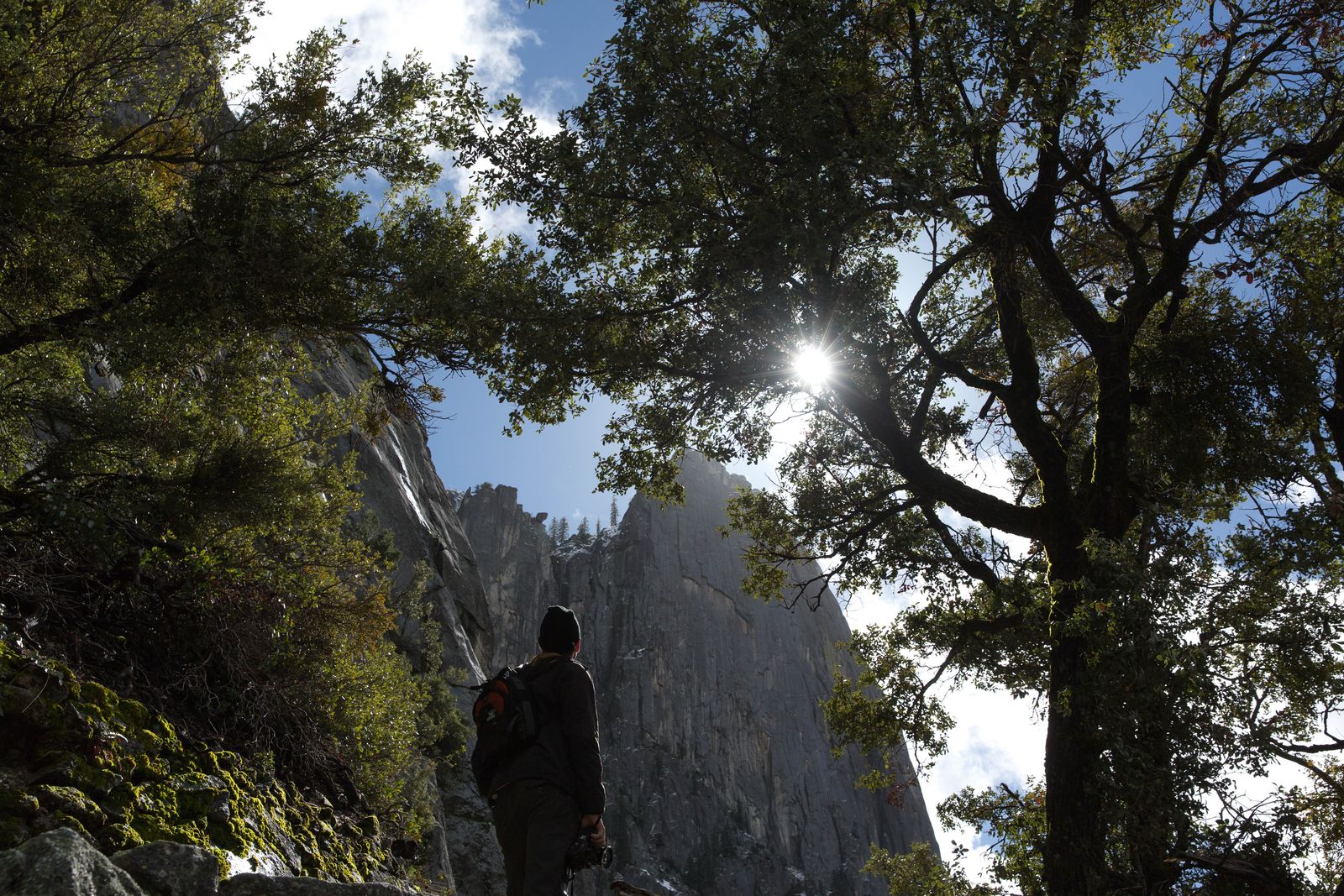 A hiker silhouetted under tall trees with the sun breaking through
