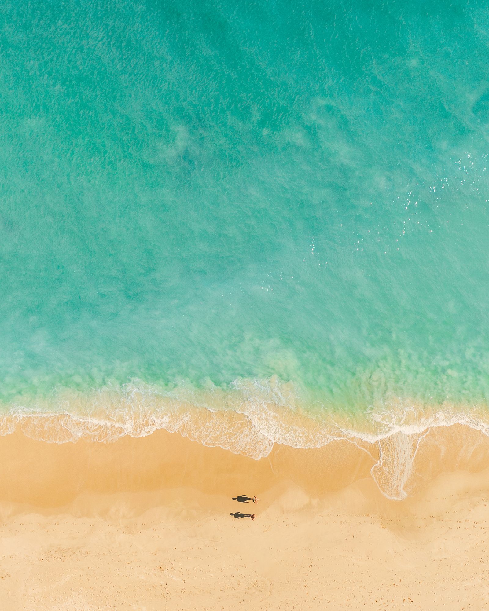 A person on a beach casting a long shadow across the sand at the water's edge