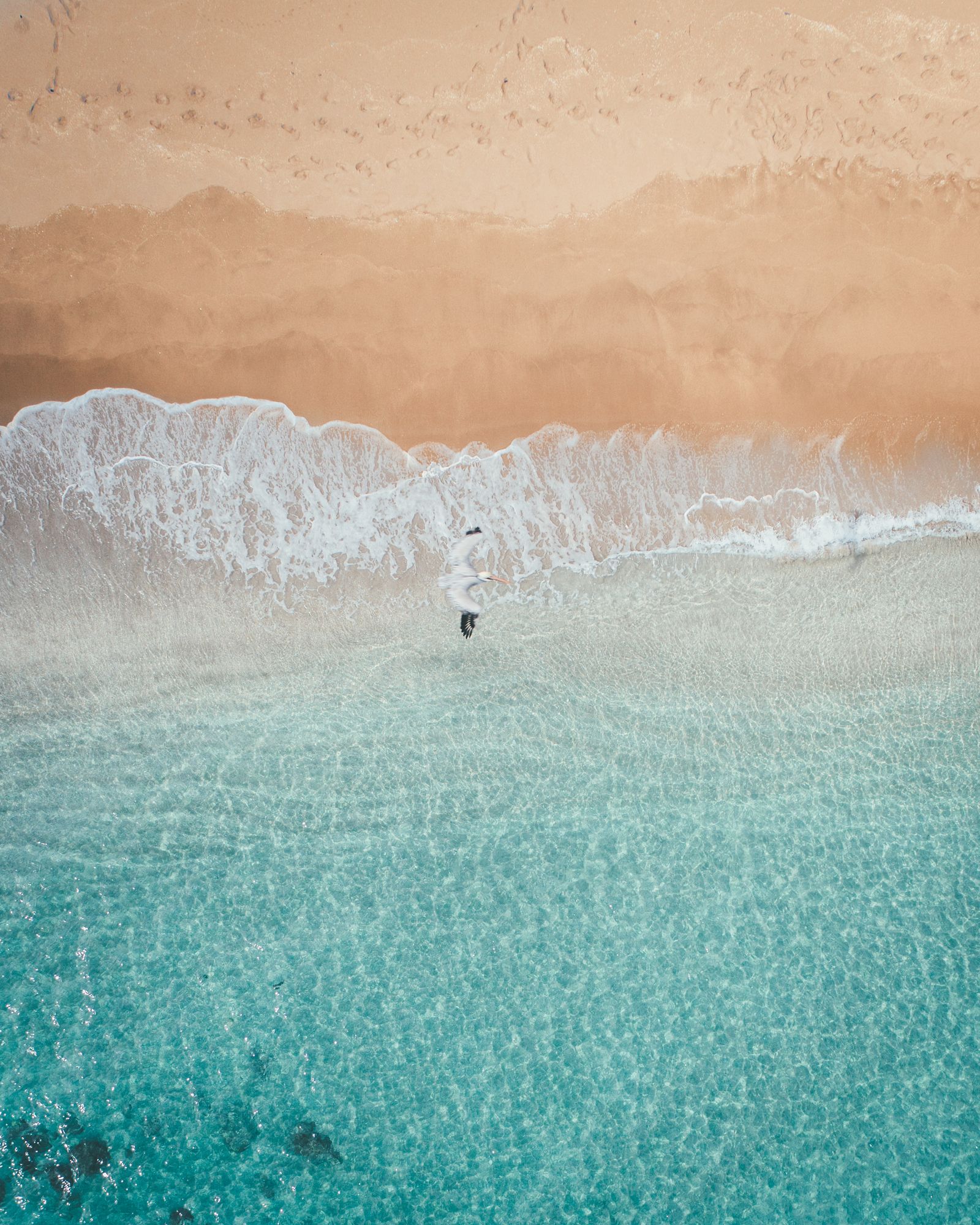 A person walking where gentle waves meet golden sand, seen from above
