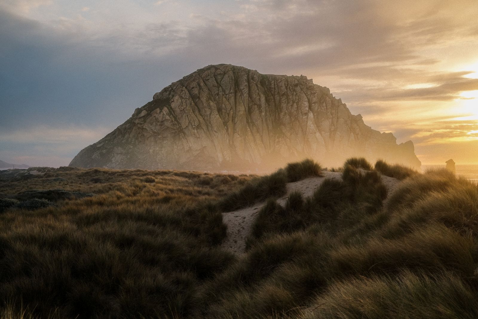 Morro Rock glowing through sea mist above grassy dunes at golden hour