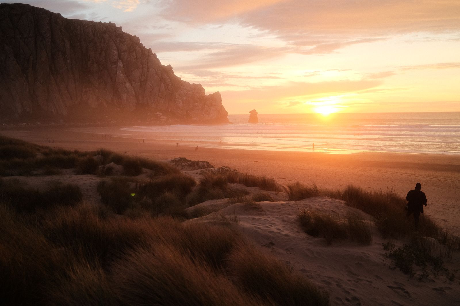 Sunset over Morro Rock and the beach, dune grass in warm light and a lone walker