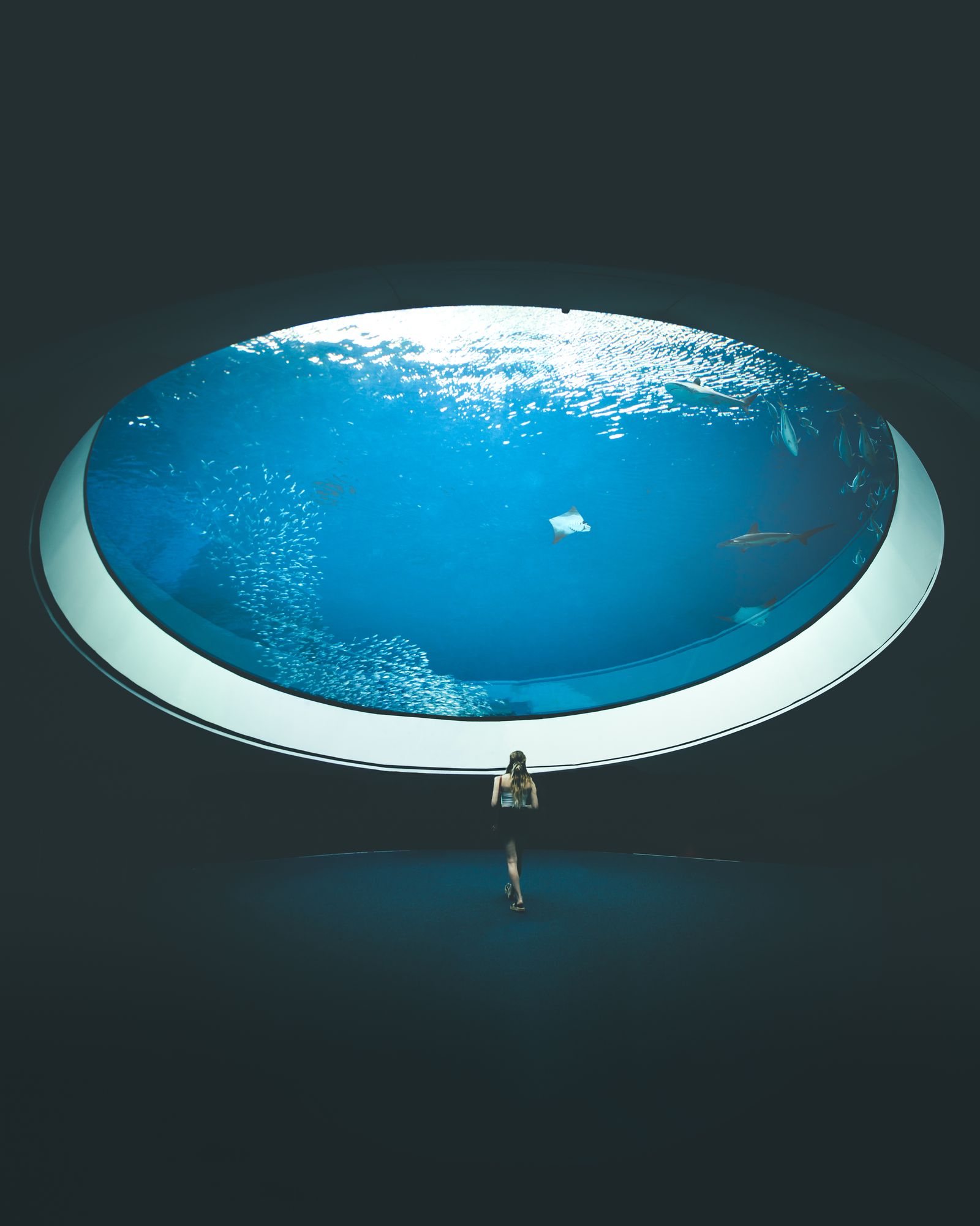 A glowing round pool in total darkness with a single swimmer, seen from above