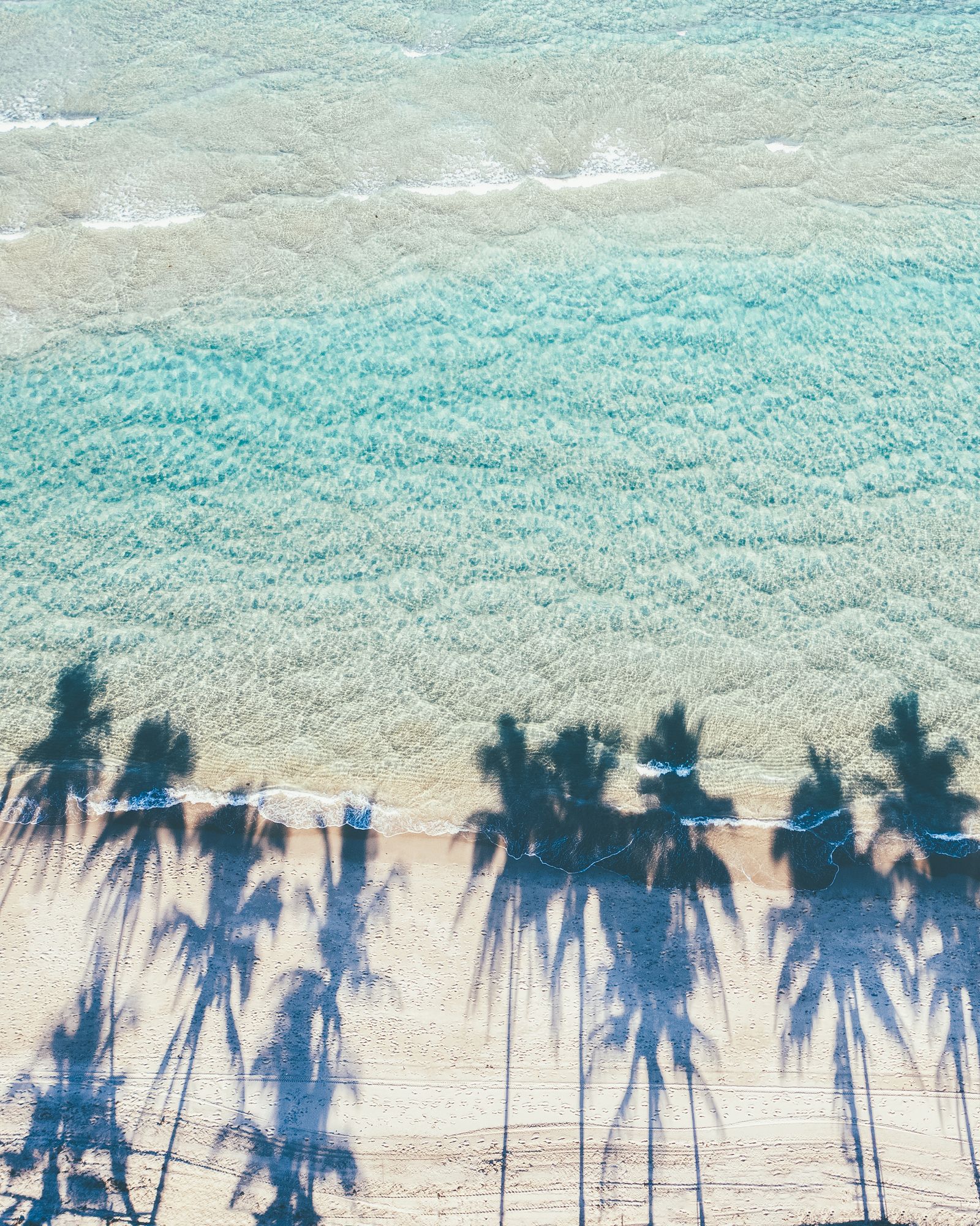 Long palm tree shadows stretching across white sand toward clear turquoise water