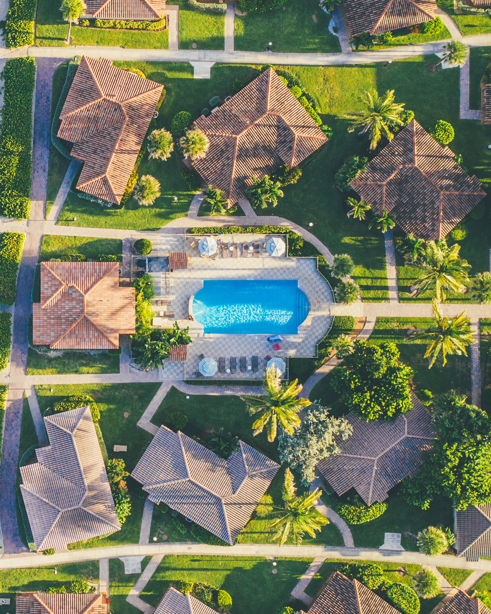 Thatched roof cottages around a blue pool in a tropical garden, from directly above