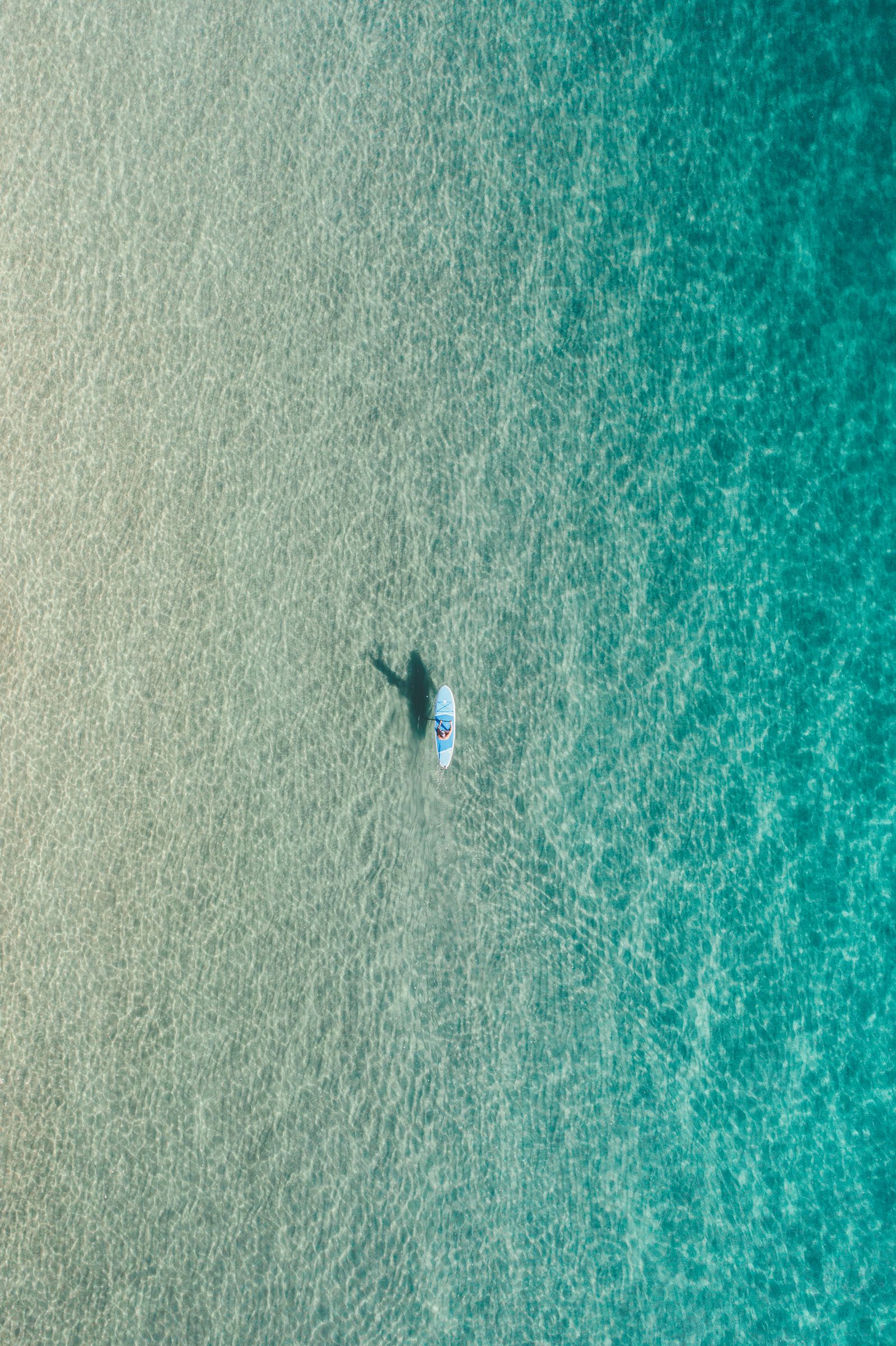 A ray and its shadow over green-blue water at Lauderdale-by-the-Sea