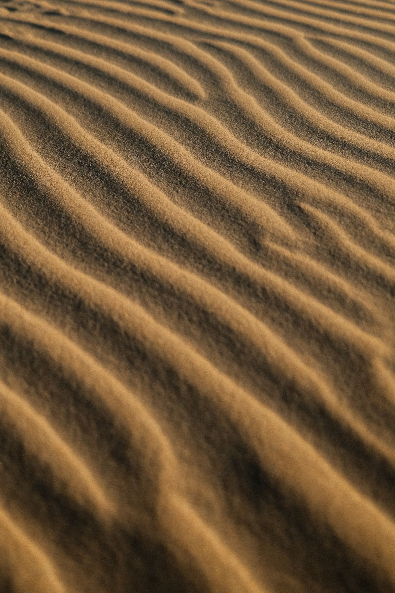 Even diagonal ripples in sand, lit low from the side
