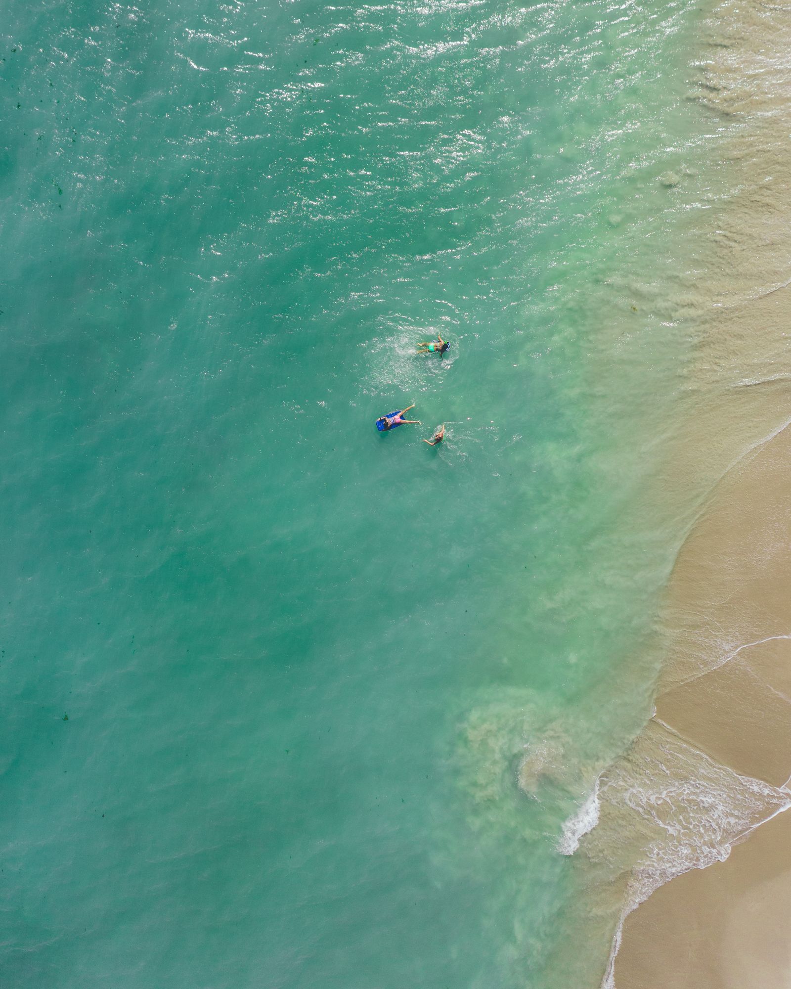 Three swimmers floating in green water just off the sand, seen from above