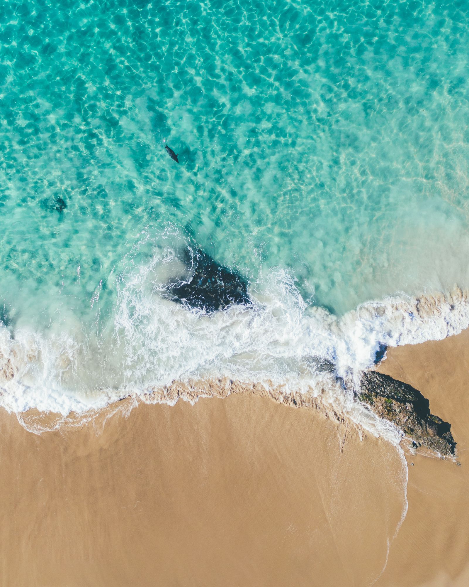 Aerial of a wave washing over dark rocks onto golden sand, the water turquoise and clear