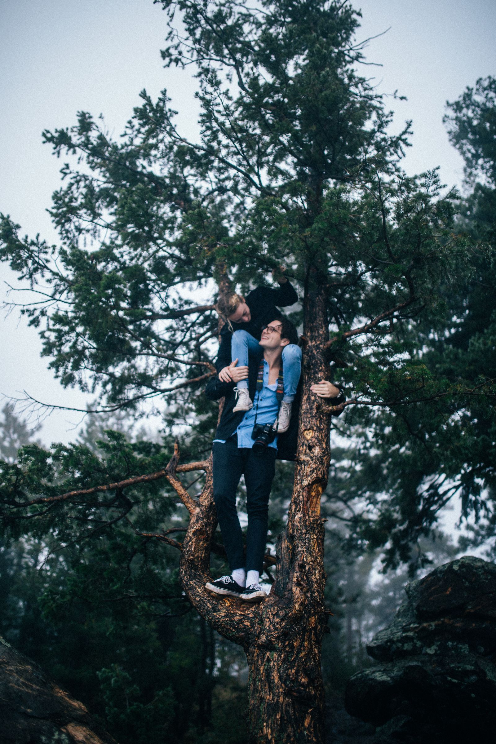A couple standing together in the fork of a big tree in a misty forest