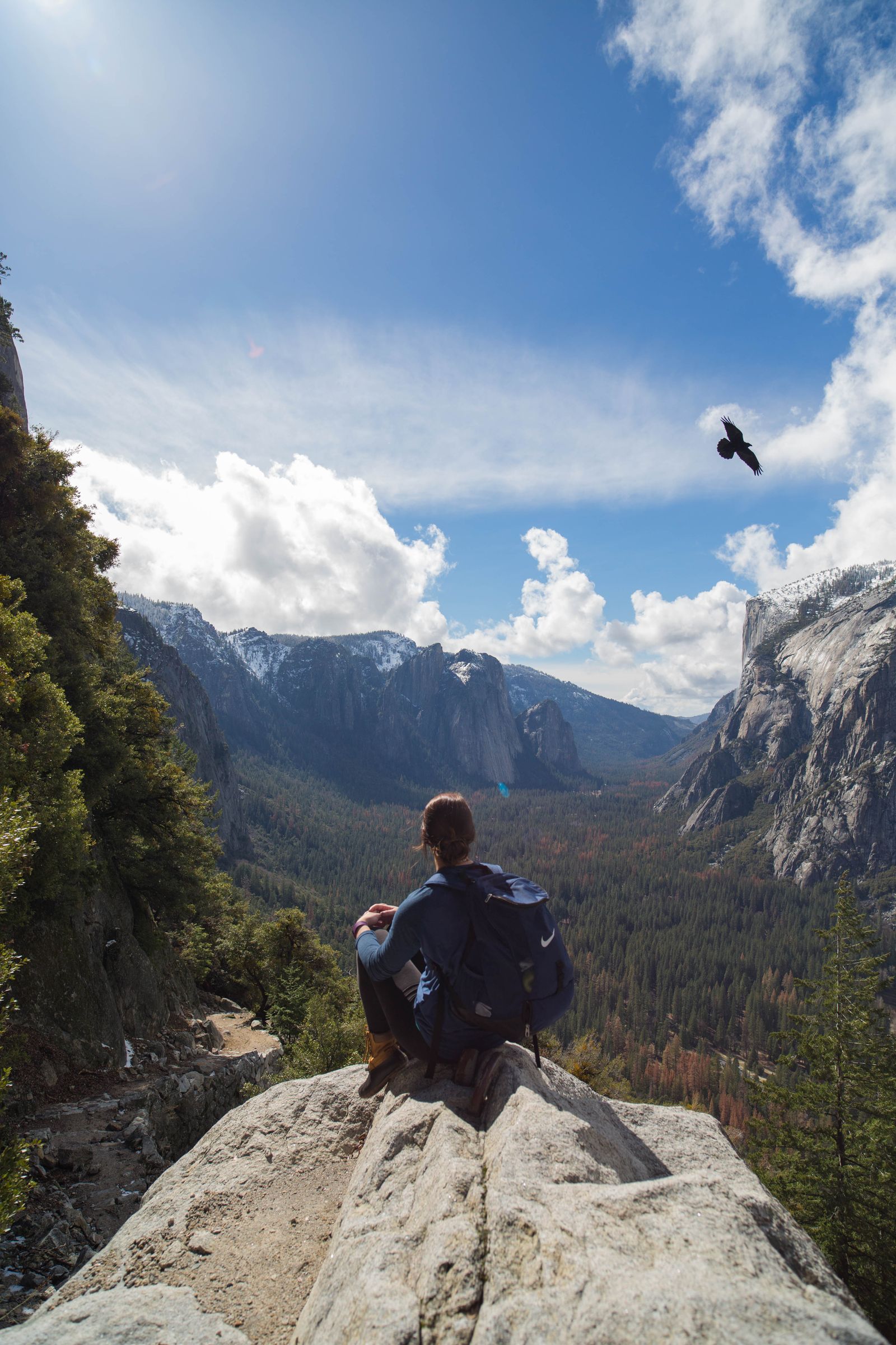 A hiker sitting on a rock ledge above Yosemite Valley as a bird flies overhead